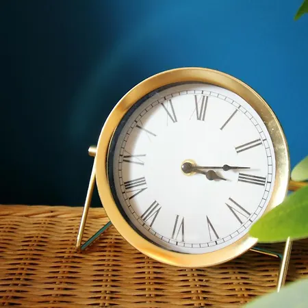 Superior Apartment Mit Tropical Feeling L 2 Schlafzimmer Nahe City L Messe L Flughafen L Hbf Appartamento